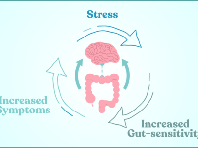Diagram of stress to increased gut sensitivity to increased symptoms cycle