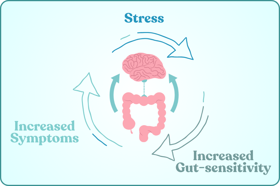 Diagram of stress to increased gut sensitivity to increased symptoms cycle