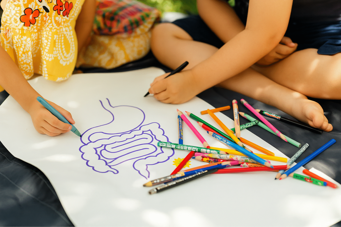 Kids drawing a digestive system