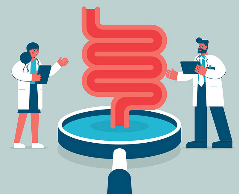 Illustration of doctors collaborating over gastrointestinal tract